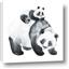 Picture of Mom and Baby Panda