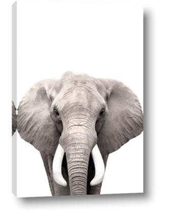 Picture of Safari Elephant