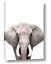 Picture of Safari Elephant