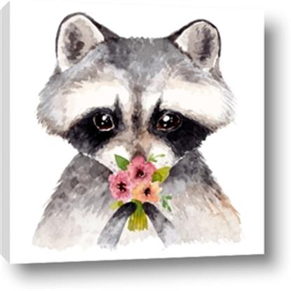 Picture of Garden Raccoon