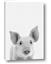 Picture of Farmhouse Pig
