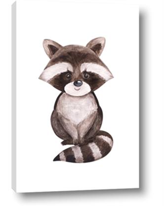 Picture of Small Raccoon