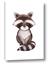 Picture of Small Raccoon