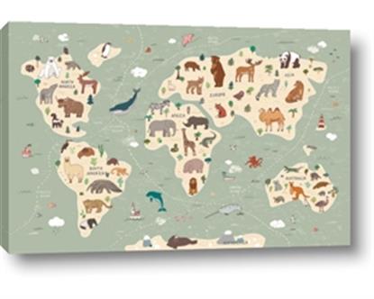 Picture of Animal Map