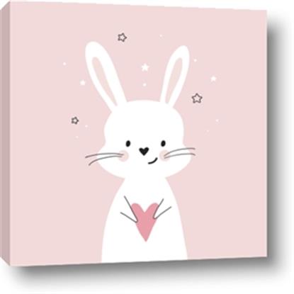 Picture of Pinky Bunny