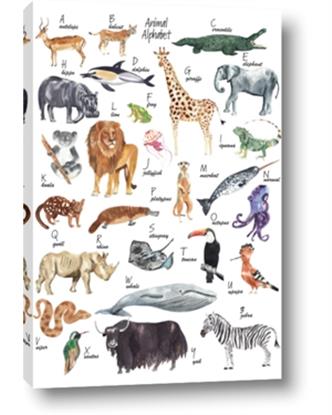 Picture of Animals of the World Alphabet