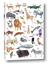 Picture of Animals of the World Alphabet