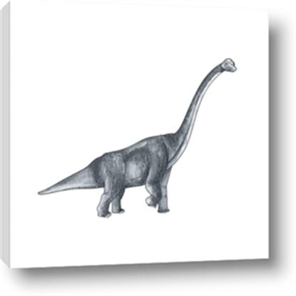Picture of Gray Dino XIII