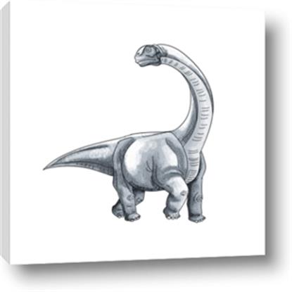 Picture of Gray Dino V