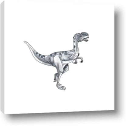 Picture of Gray Dino VI
