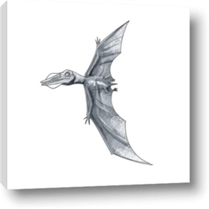 Picture of Gray Dino IX