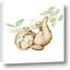 Picture of Swinging Sloth I