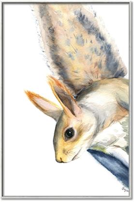 Picture of Flying Squirrel