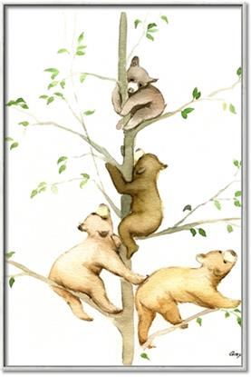 Picture of Bear Climb