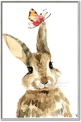 Picture of Butterfly Bunny