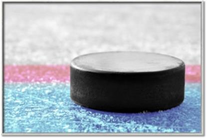 Picture of Hockey Puck in the Zone
