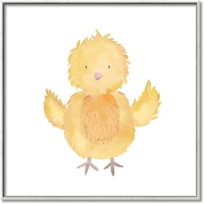 Picture of Nursery Chick