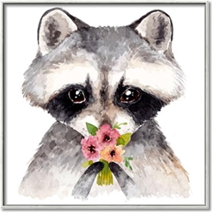 Picture of Garden Raccoon