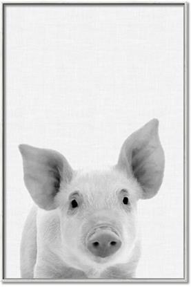 Picture of Farmhouse Pig