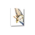 Picture of Flying Squirrel _GroupedProduct_Rectangle_Portrait_Mini_ _GroupedProduct_Rectangle_Portrait_Canvas_