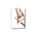 Picture of Flying Squirrel _GroupedProduct_Rectangle_Portrait_Mini_ _GroupedProduct_Rectangle_Portrait_Canvas_