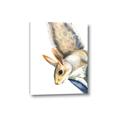 Picture of Flying Squirrel _GroupedProduct_Rectangle_Portrait_Mini_ _GroupedProduct_Rectangle_Portrait_Canvas_