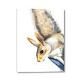 Picture of Flying Squirrel _GroupedProduct_Rectangle_Portrait_Mini_ _GroupedProduct_Rectangle_Portrait_Canvas_