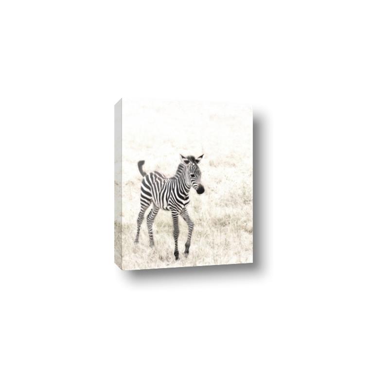 Picture of Summer Zebra _GroupedProduct_Rectangle_Portrait_Mini_ _GroupedProduct_Rectangle_Portrait_Canvas_