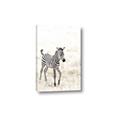 Picture of Summer Zebra _GroupedProduct_Rectangle_Portrait_Mini_ _GroupedProduct_Rectangle_Portrait_Canvas_