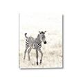 Picture of Summer Zebra _GroupedProduct_Rectangle_Portrait_Mini_ _GroupedProduct_Rectangle_Portrait_Canvas_
