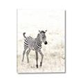 Picture of Summer Zebra _GroupedProduct_Rectangle_Portrait_Mini_ _GroupedProduct_Rectangle_Portrait_Canvas_