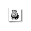 Picture of Lion Black and White _GroupedProduct_Square_Mini_ _GroupedProduct_Square_Canvas_