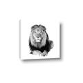 Picture of Lion Black and White _GroupedProduct_Square_Mini_ _GroupedProduct_Square_Canvas_