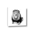 Picture of Lion Black and White _GroupedProduct_Square_Mini_ _GroupedProduct_Square_Canvas_