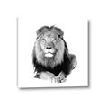 Picture of Lion Black and White _GroupedProduct_Square_Mini_ _GroupedProduct_Square_Canvas_