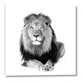 Picture of Lion Black and White _GroupedProduct_Square_Mini_ _GroupedProduct_Square_Canvas_
