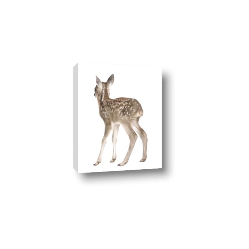 Picture of Behind Deer _GroupedProduct_Rectangle_Portrait_Mini_ _GroupedProduct_Rectangle_Portrait_Canvas_