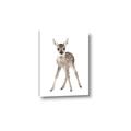 Picture of In Front Deer _GroupedProduct_Rectangle_Portrait_Mini_ _GroupedProduct_Rectangle_Portrait_Canvas_