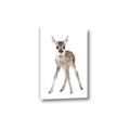 Picture of In Front Deer _GroupedProduct_Rectangle_Portrait_Mini_ _GroupedProduct_Rectangle_Portrait_Canvas_