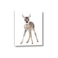 Picture of In Front Deer _GroupedProduct_Rectangle_Portrait_Mini_ _GroupedProduct_Rectangle_Portrait_Canvas_