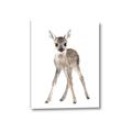 Picture of In Front Deer _GroupedProduct_Rectangle_Portrait_Mini_ _GroupedProduct_Rectangle_Portrait_Canvas_