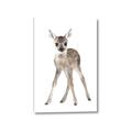Picture of In Front Deer _GroupedProduct_Rectangle_Portrait_Mini_ _GroupedProduct_Rectangle_Portrait_Canvas_