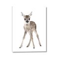 Picture of In Front Deer _GroupedProduct_Rectangle_Portrait_Mini_ _GroupedProduct_Rectangle_Portrait_Canvas_