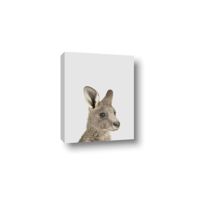 Picture of Kangaroo    _GroupedProduct_Rectangle_Portrait_Mini_ _GroupedProduct_Rectangle_Portrait_Canvas_