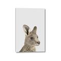 Picture of Kangaroo    _GroupedProduct_Rectangle_Portrait_Mini_ _GroupedProduct_Rectangle_Portrait_Canvas_