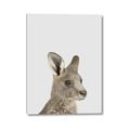 Picture of Kangaroo    _GroupedProduct_Rectangle_Portrait_Mini_ _GroupedProduct_Rectangle_Portrait_Canvas_