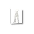 Picture of Behind Lamb _GroupedProduct_Rectangle_Portrait_Mini_ _GroupedProduct_Rectangle_Portrait_Canvas_