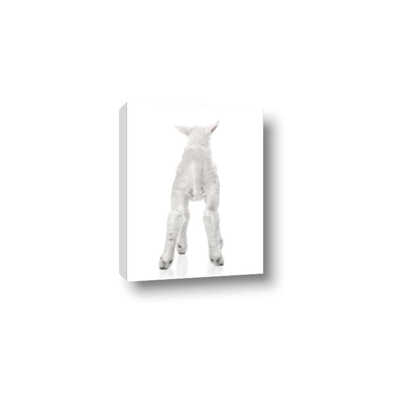 Picture of Behind Lamb _GroupedProduct_Rectangle_Portrait_Mini_ _GroupedProduct_Rectangle_Portrait_Canvas_