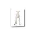 Picture of Behind Lamb _GroupedProduct_Rectangle_Portrait_Mini_ _GroupedProduct_Rectangle_Portrait_Canvas_
