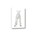 Picture of Behind Lamb _GroupedProduct_Rectangle_Portrait_Mini_ _GroupedProduct_Rectangle_Portrait_Canvas_